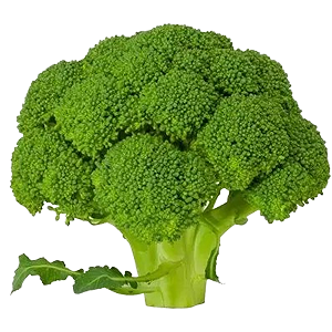 BROCOLI pK